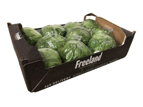 Iceberg lettuce Box 5 kg Oman 🇴🇲