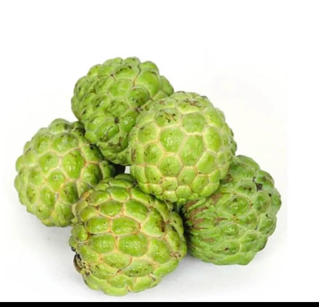 Custard Apple 500G by air Brazil π§π·
