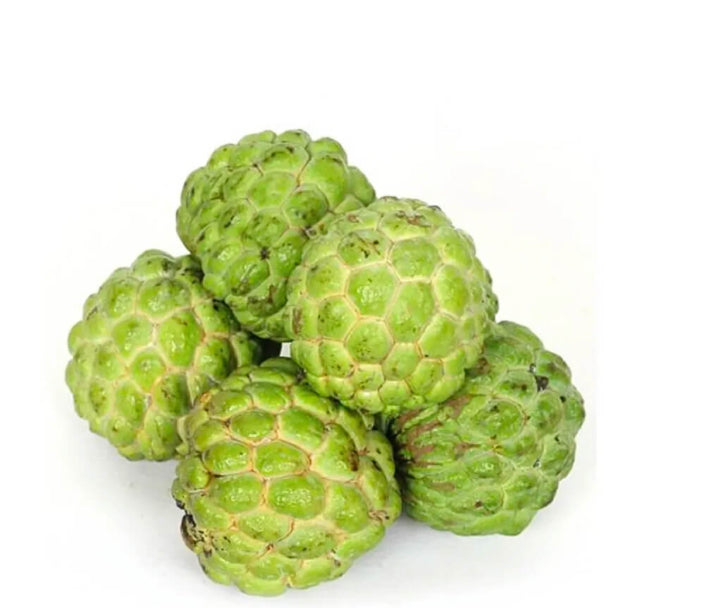 Custard Apple 1kg India ๐ฎ๐ณ