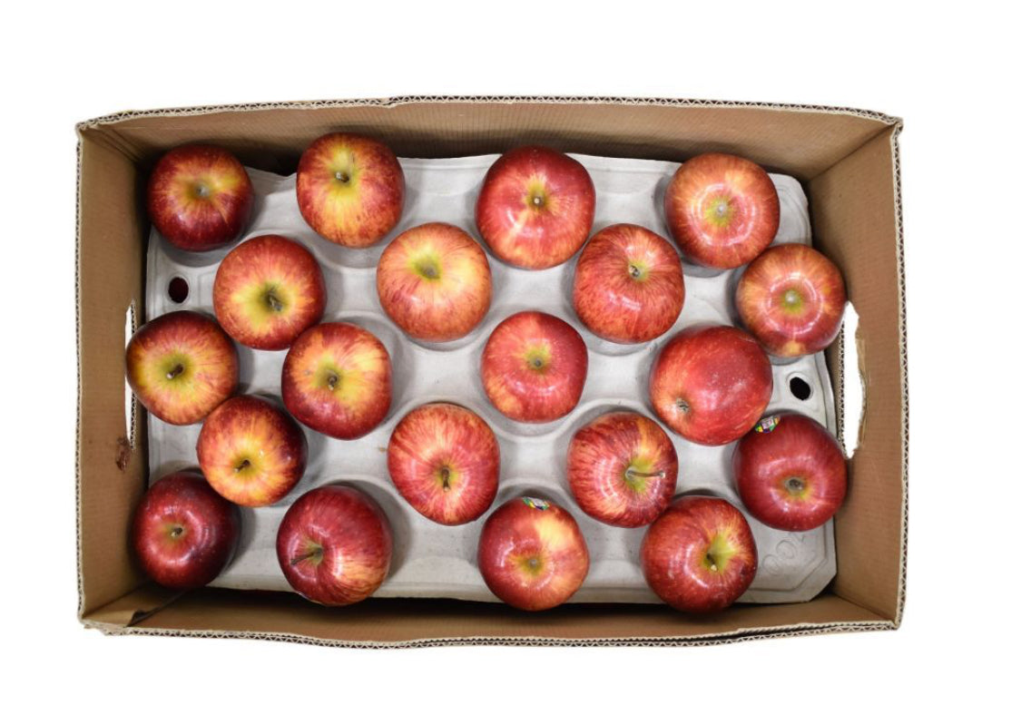 Apple royal gala 1 box 18 kg (Italy)๐ฎ๐น