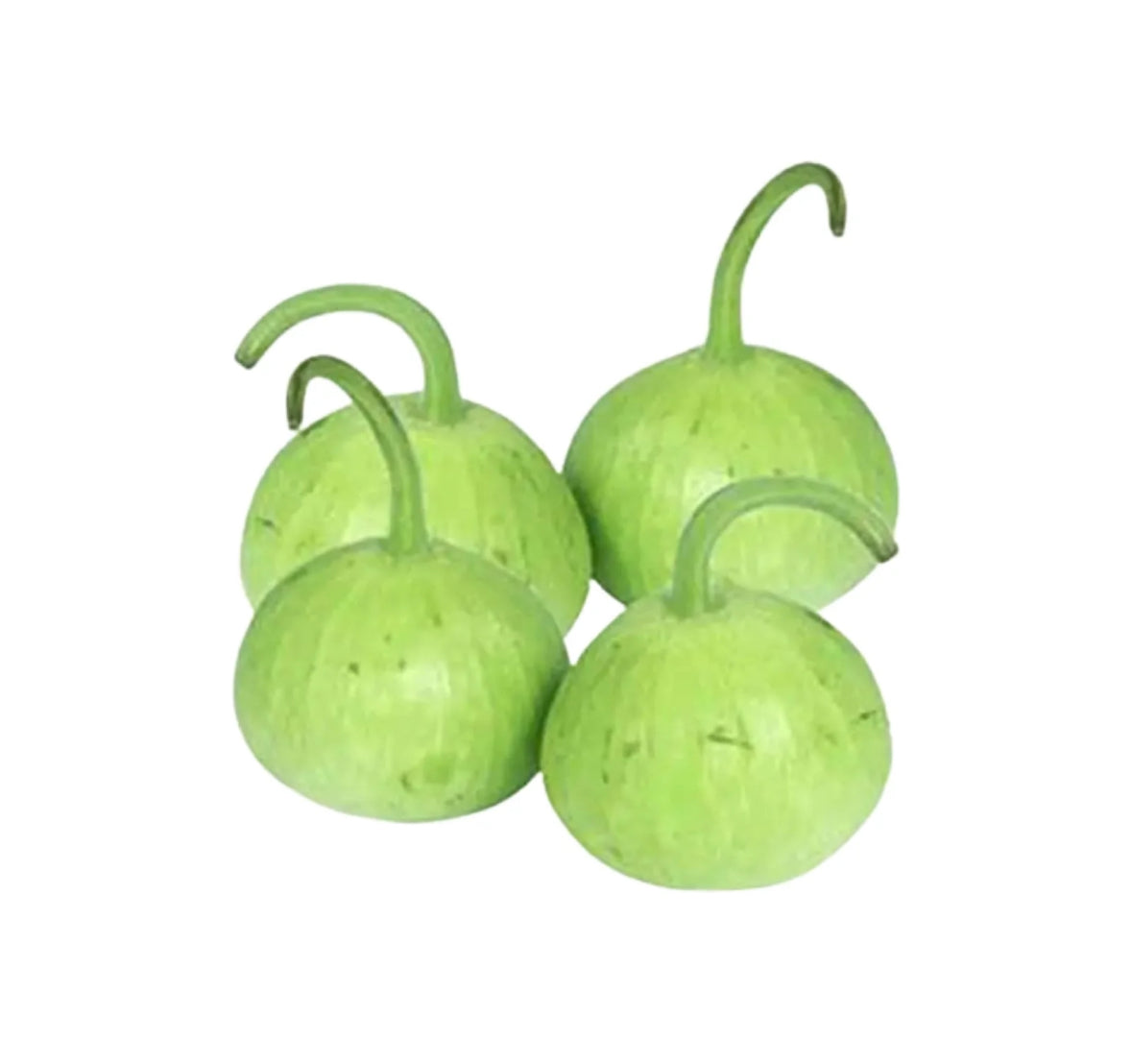 Pumpkin Round (Kaddu)500G by air (pakistan)π΅π°