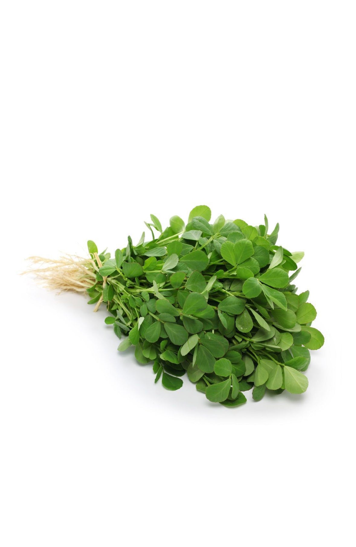 Fenugreek (Methi Leaves) Premium 250g