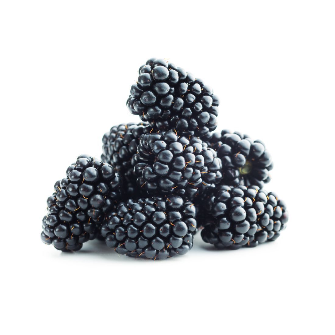 Blackberry 125g Mexico π²π½