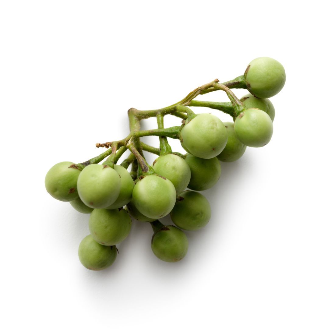 Eggplant Pea. Size: 250g Thailand πΉπ