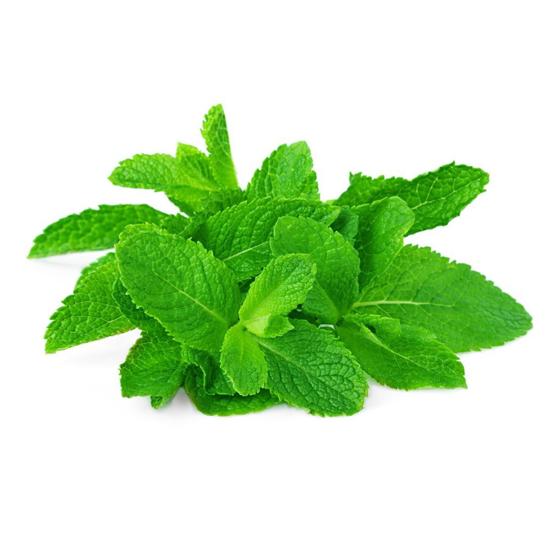 Mint Leaves Size: 200g Oman π΄π²