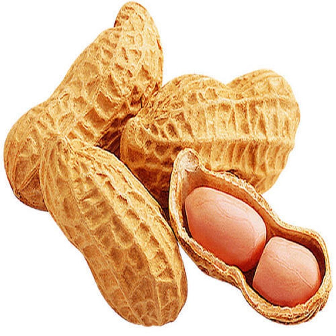 Peanuts With Shell Size: 250g india ๐ฎ๐ณ