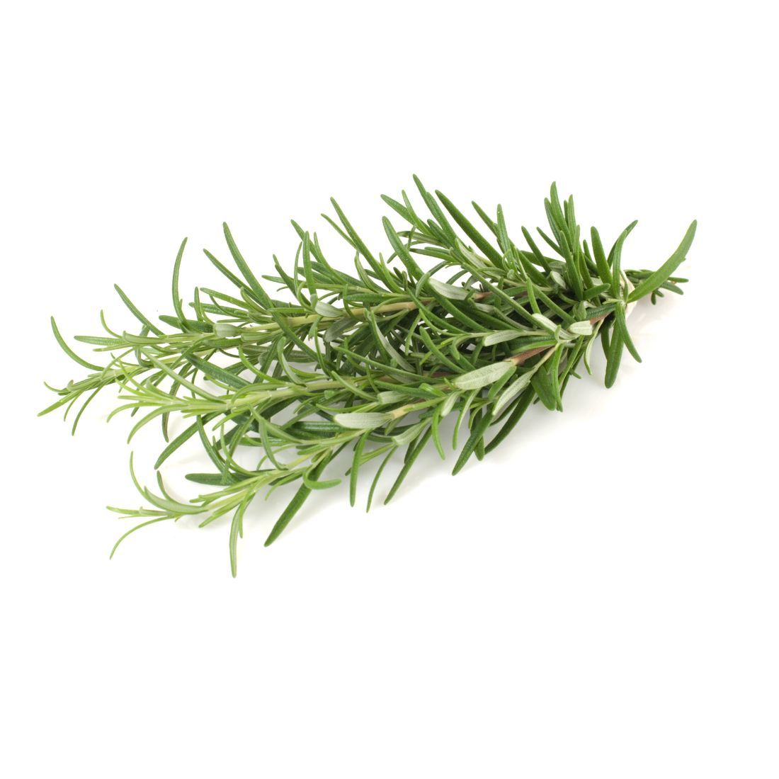 Rosemary 20g UAE π¦πͺ