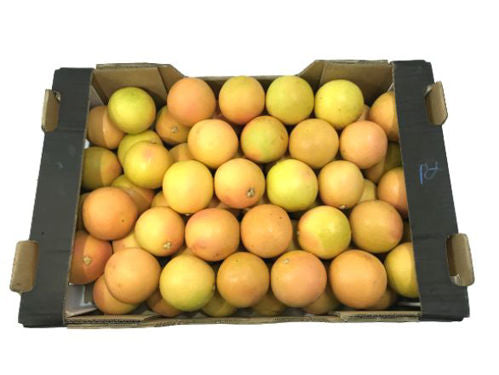 Grapefruit Box.  15 kg - (55-60 pcs per box) turkey🇹🇷