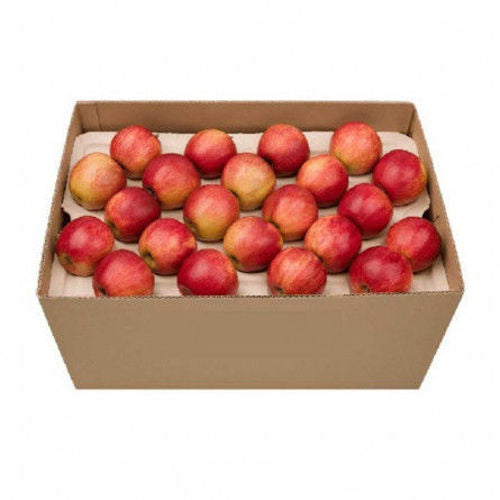 Apple Royal Gala Box  18 kg South Africa 🇿🇦