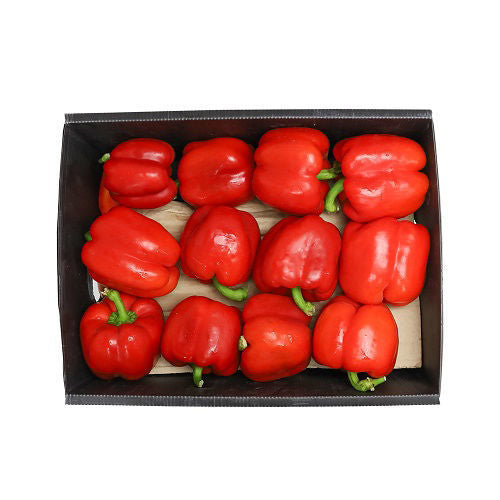 Capsicum Red Box. 4 kg Oman 🇴🇲