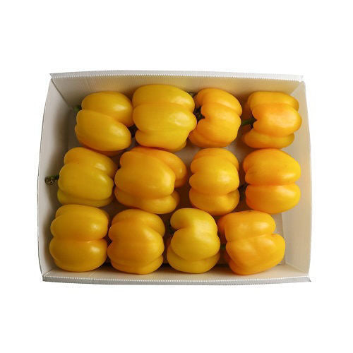 Capsicum Yellow Box 4 kg Oman 🇴🇲