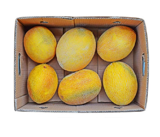 Sweet melon 10 kg iran 🇮🇷