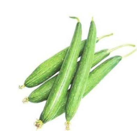 Sponge Gourd (Galka) Premium 500g by air India 🇮🇳