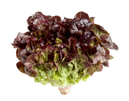Oakleaf Lettuce Approx 1 kg  (UAE)🇦🇪