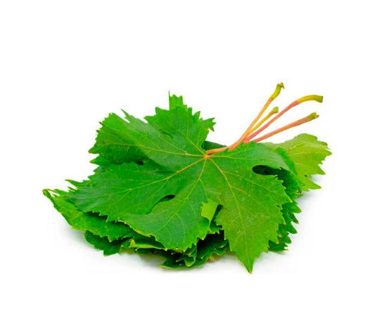 Grapes Leave (Lebanon)🇱🇧  Approx 250gm per packet
