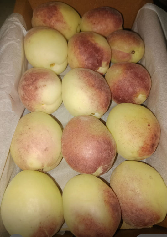 Apricot 500G pakistan 🇵🇰