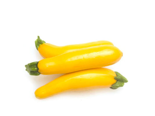 Zucchini Yellow(Netherlands)500G