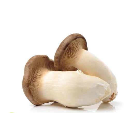 King Oyster Mushroom  (China)🇨🇳  Approx 150 gm per packet