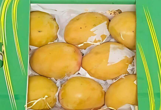 Mango Yasmina 3.5kg  Egypt 🇪🇬