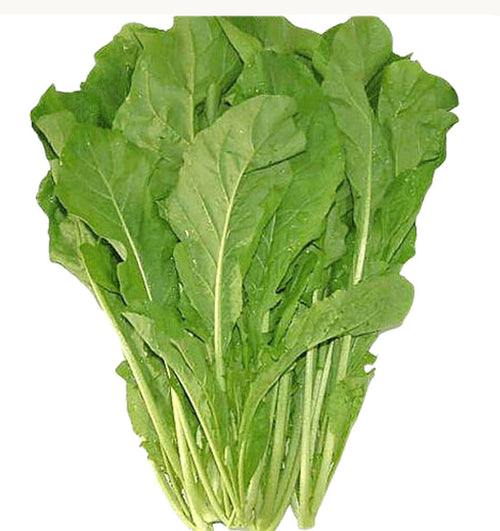 Rocca Leaves 250G Oman 🇴🇲
