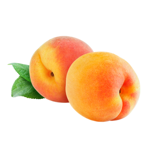 Apricot 1.5 kg box Pakistan 🇵🇰