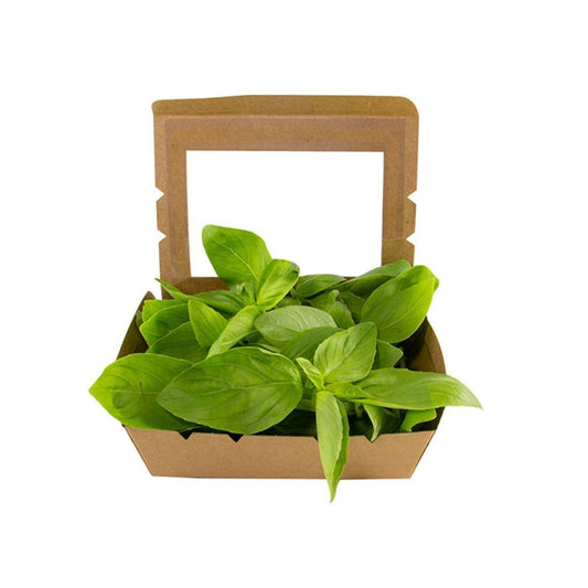 Basil Premium  20g UAE 🇦🇪