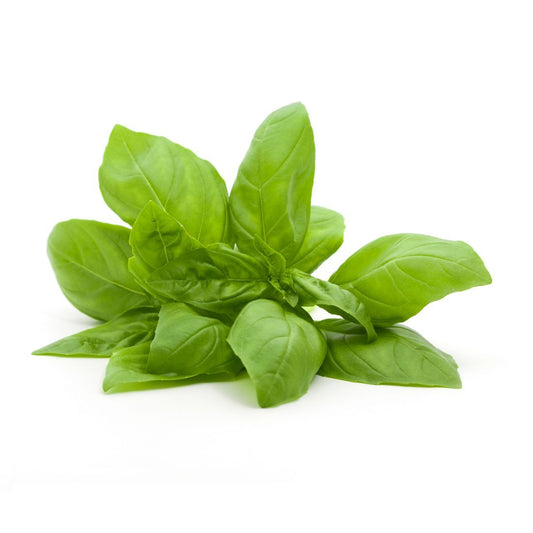 Basil Sweet (Thai) 100g Thailand 🇹🇭