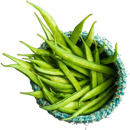 Beans Gawar Premium 500g india 🇮🇳