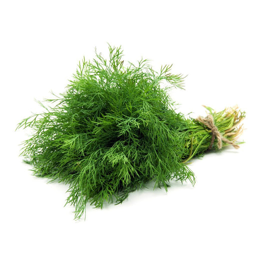 Dill Leaves 100-150g UAE 🇦🇪