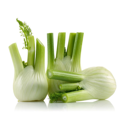 Fennel. Size: 250g Holland 🇳🇱