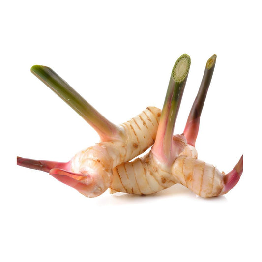 Galanga (Galangal. Size:  200g Thailand 🇹🇭