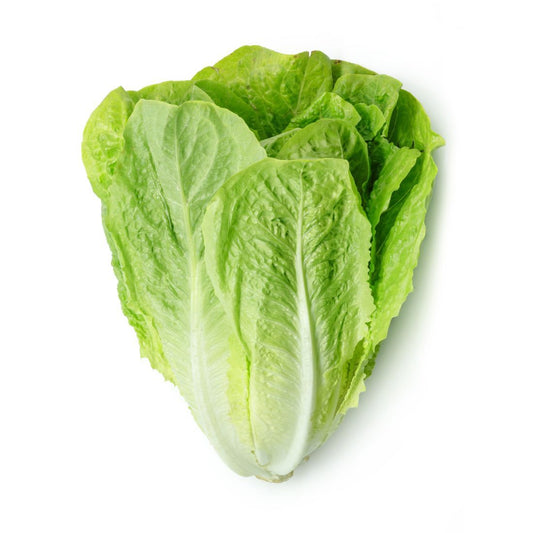 Lettuce Romaine 350-450g    Size: 1 piece 🇴🇲