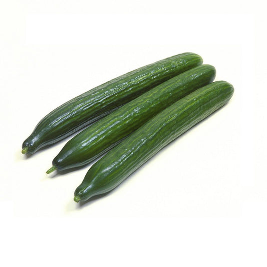 Cucumber English. Size: 1 piece  ~200-300g Spain 🇪🇸