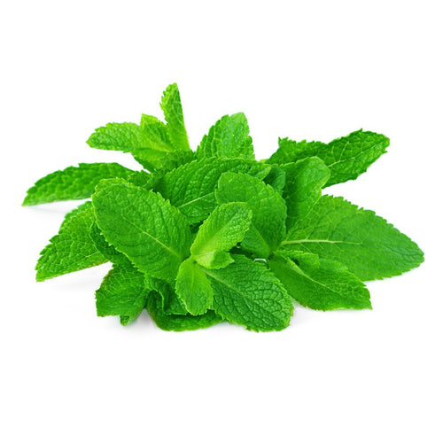 Mint Leaves  Size: 200g Oman 🇴🇲