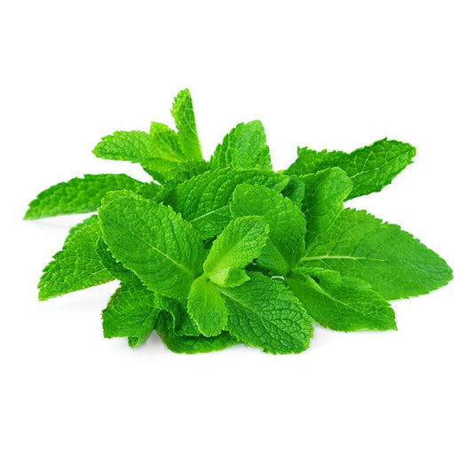 Mint Leaves  Size: 200g Oman 🇴🇲