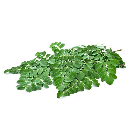 Drumstick Leaves (Moringa Leaves). Size: 1 pack  ~100-150g UAE 🇦🇪