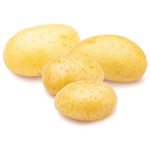 Potato Agria.  Size:  500g Holland 🇳🇱