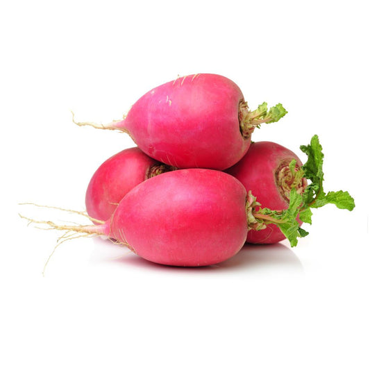 Radish Red.  Size: 1 pack  ~250g holland 🇳🇱