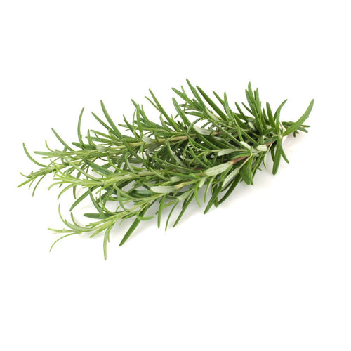Rosemary  20g UAE 🇦🇪