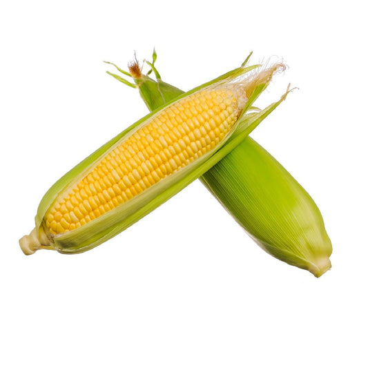Sweet Corn  550-650g   Size: 1 pack iran 🇮🇷
